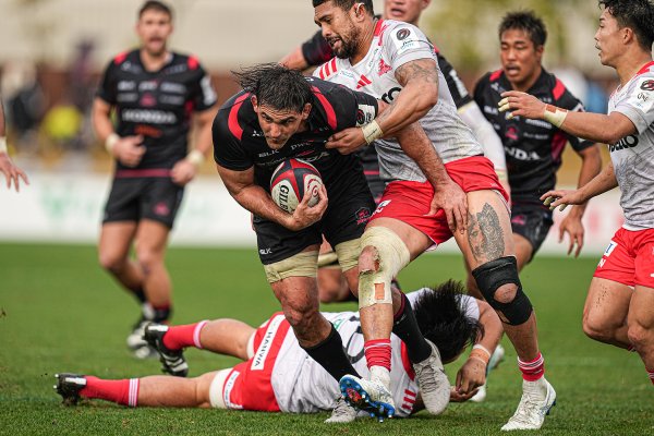 フォトギャラリー(2)