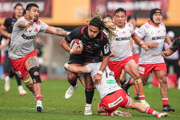 フォトギャラリー(24)