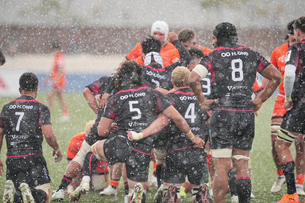 フォトギャラリー(11)