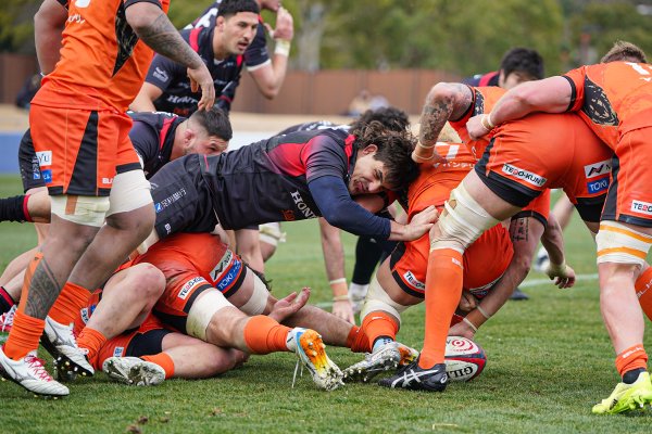 フォトギャラリー(24)