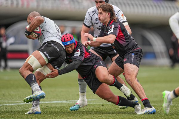 フォトギャラリー(19)