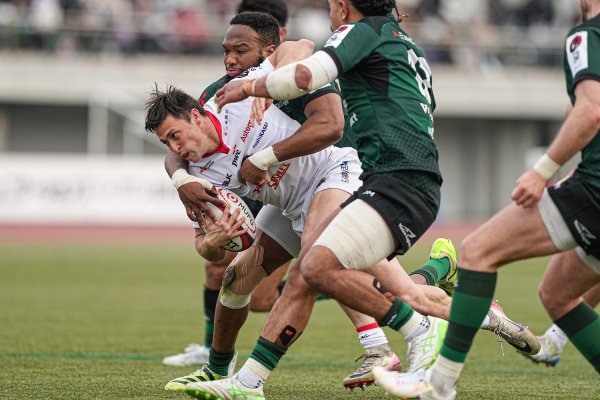 フォトギャラリー(11)