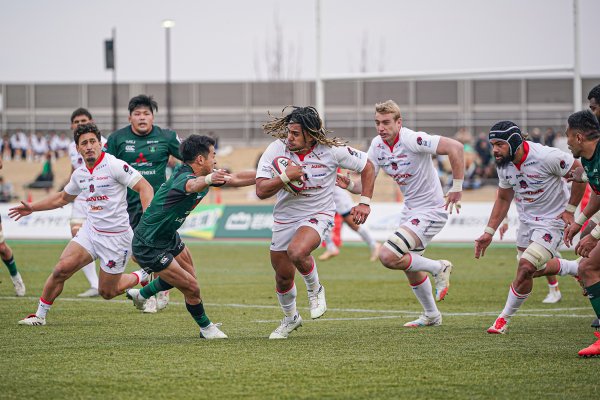 フォトギャラリー(8)