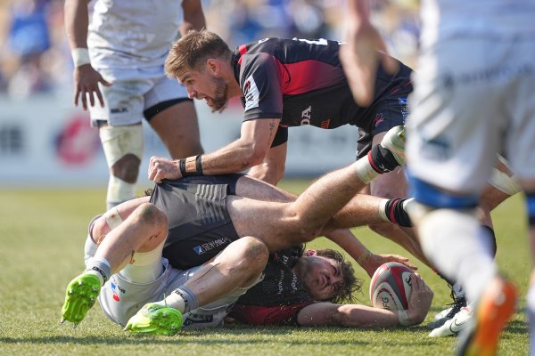 フォトギャラリー(19)