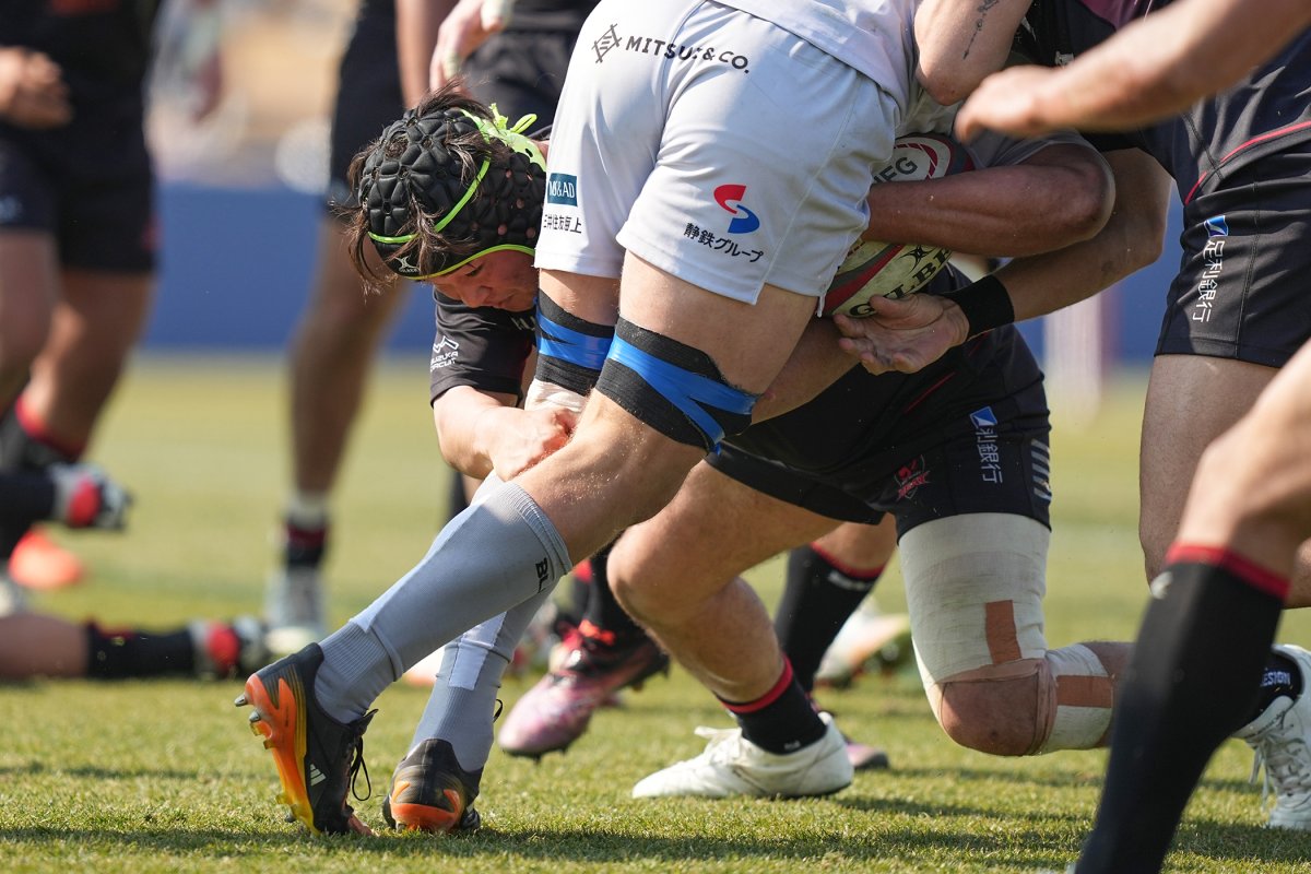 フォトギャラリー(30)