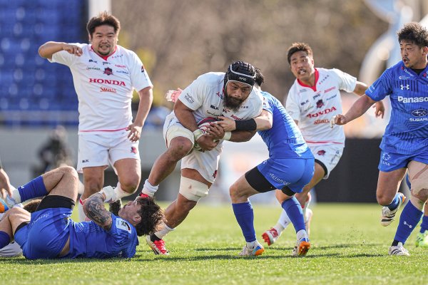 フォトギャラリー(19)