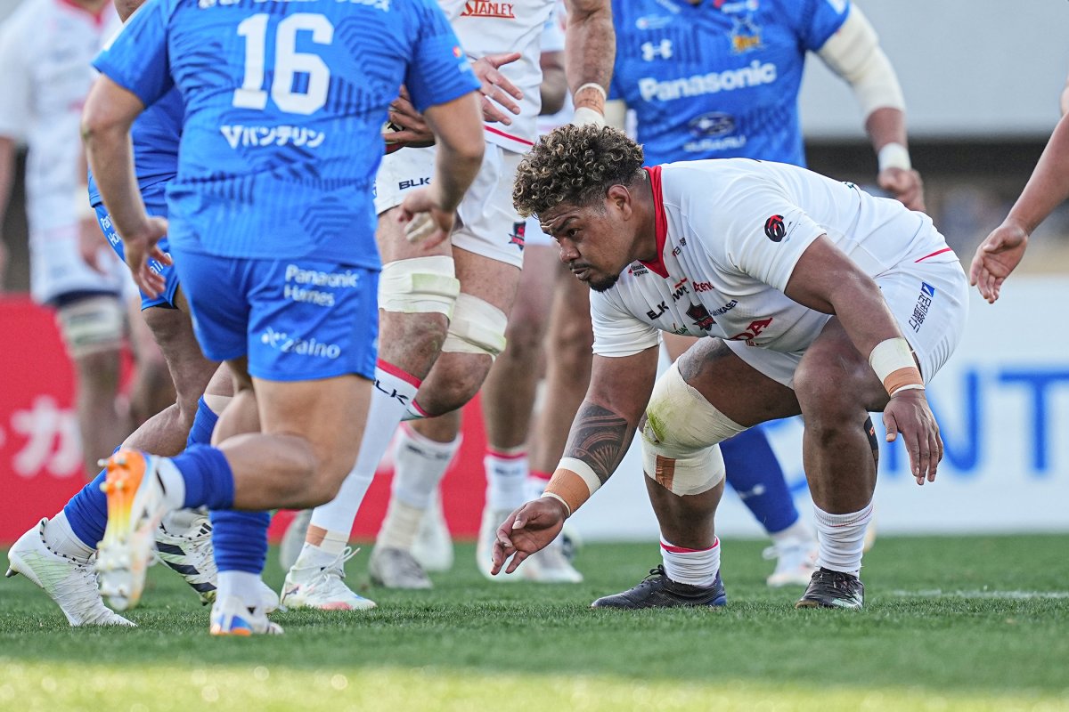 フォトギャラリー(24)