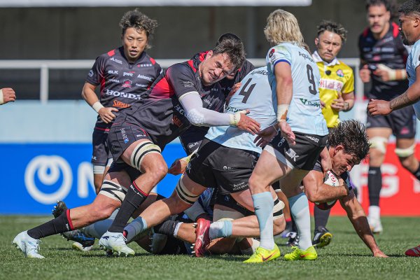 フォトギャラリー(19)