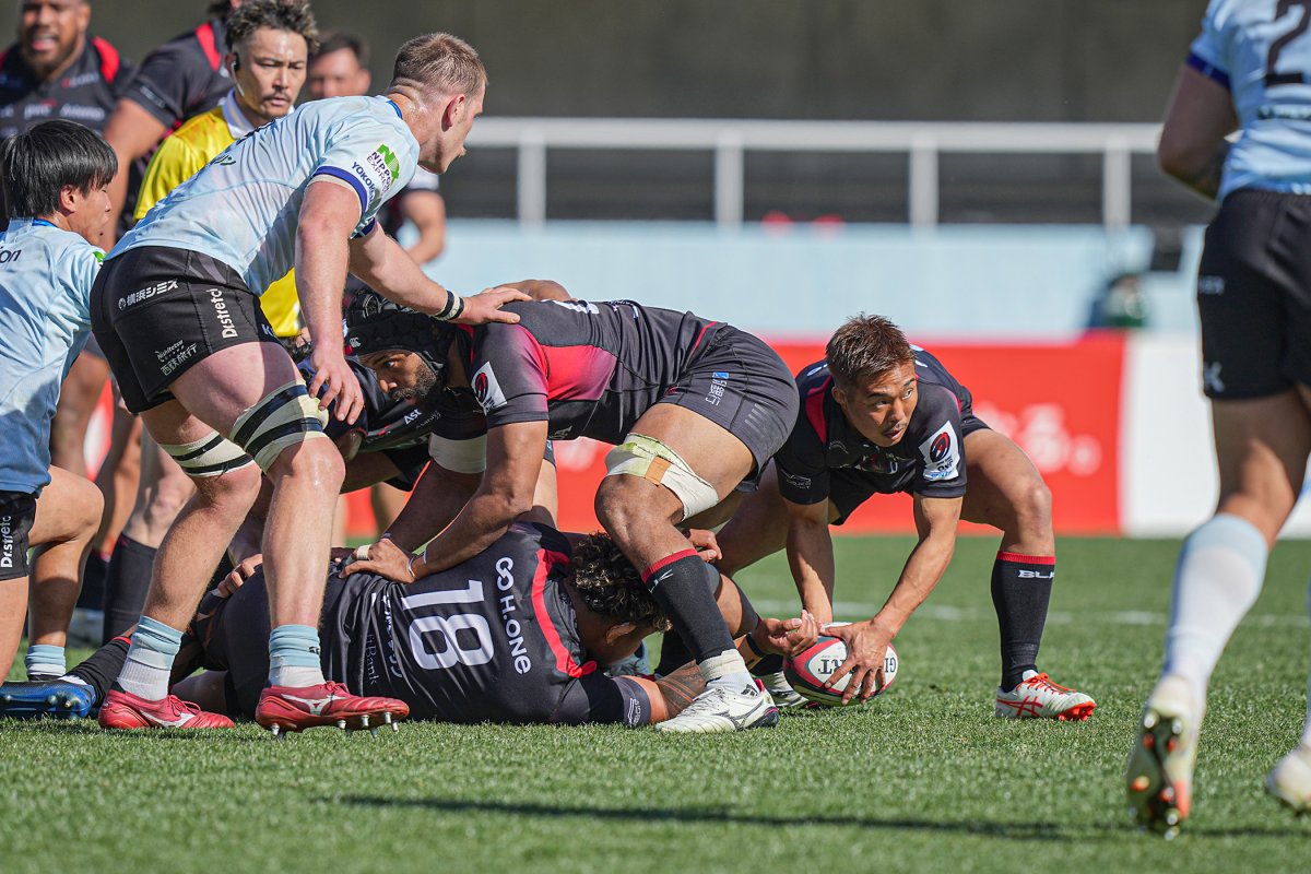 フォトギャラリー(24)