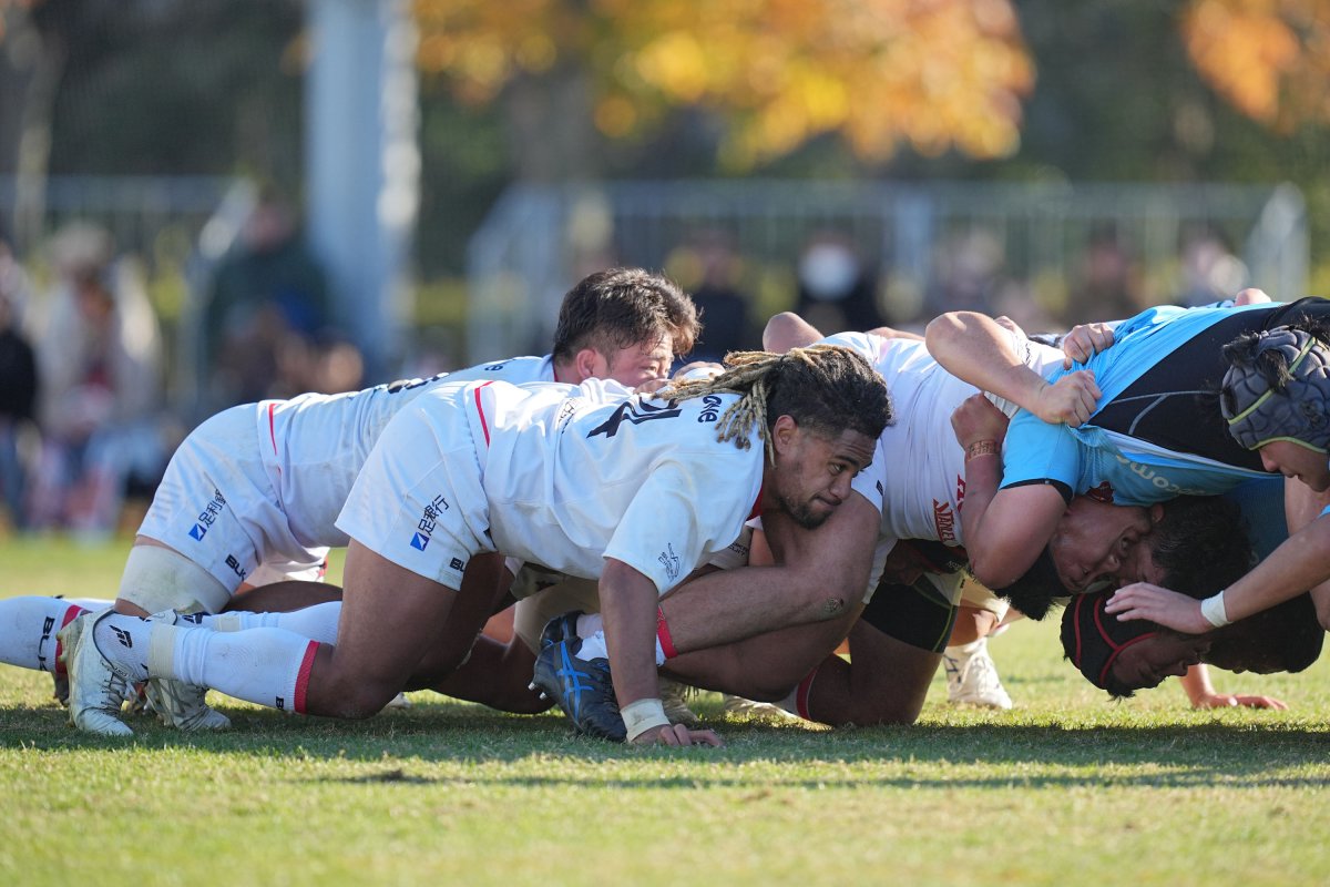 フォトギャラリー(24)