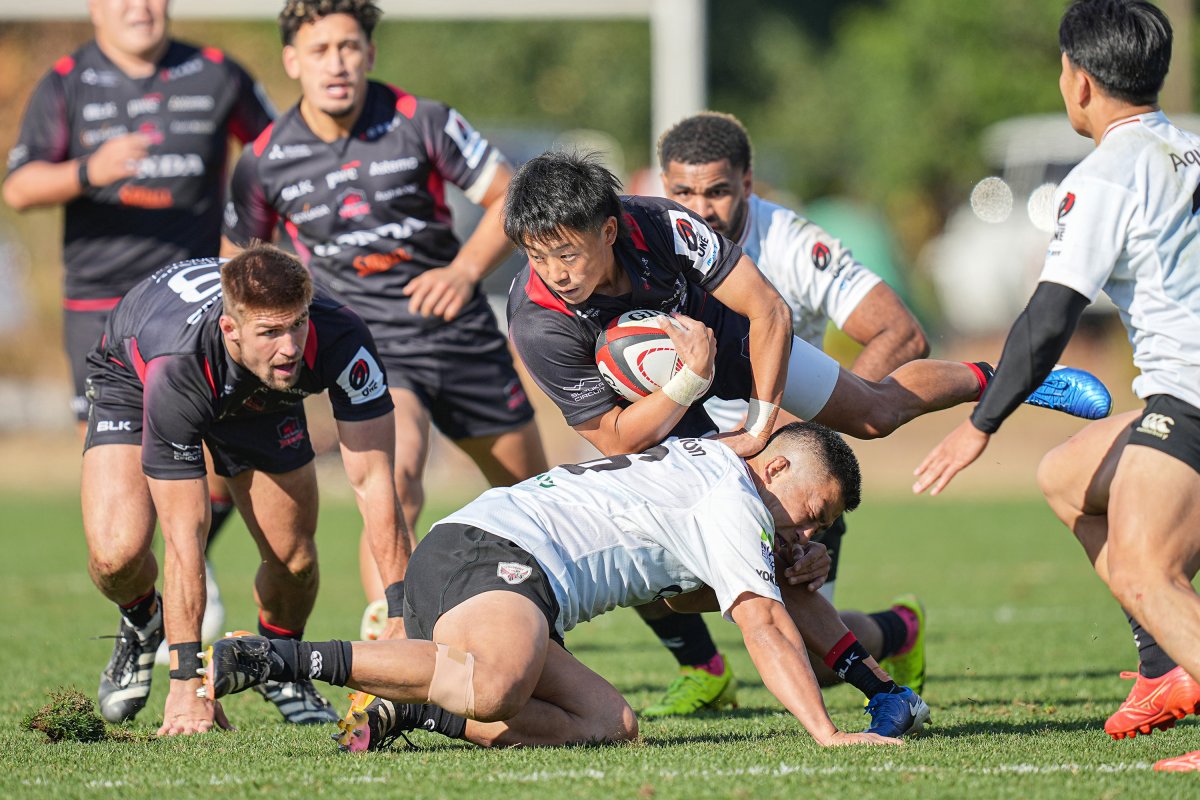 フォトギャラリー(24)