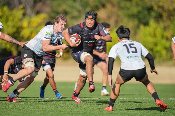 フォトギャラリー(11)