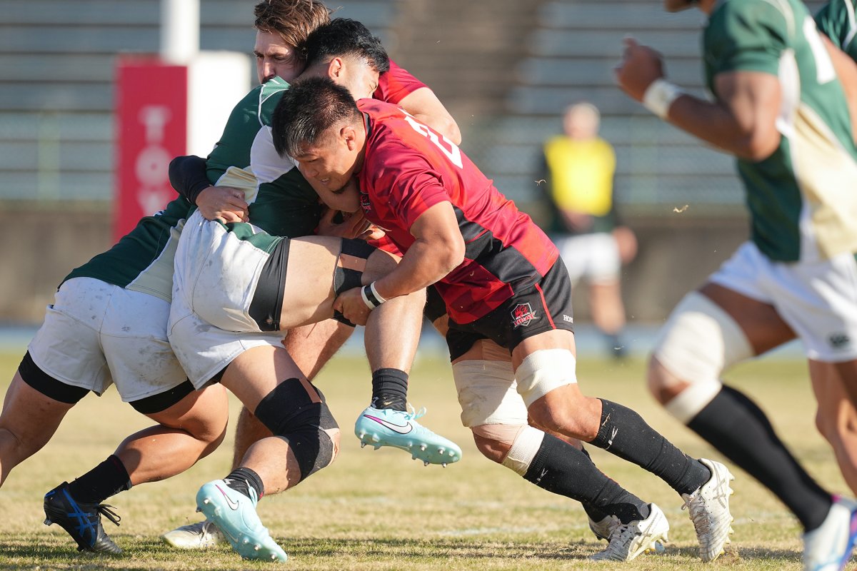 フォトギャラリー(24)