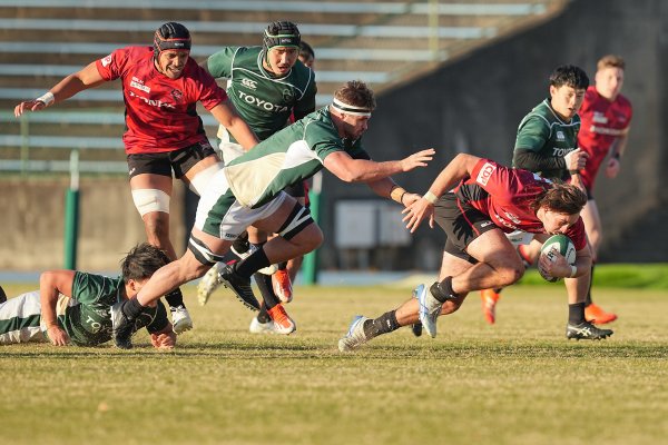 フォトギャラリー(13)