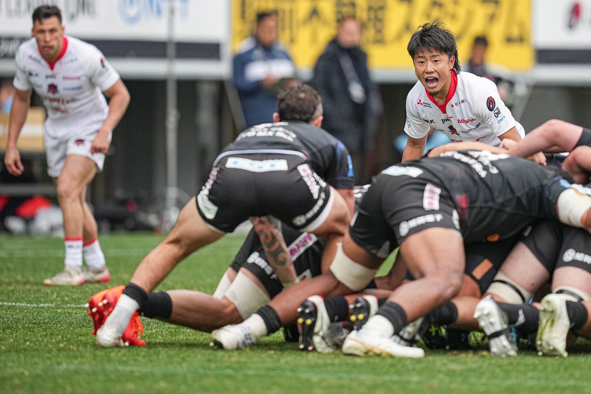 フォトギャラリー(24)