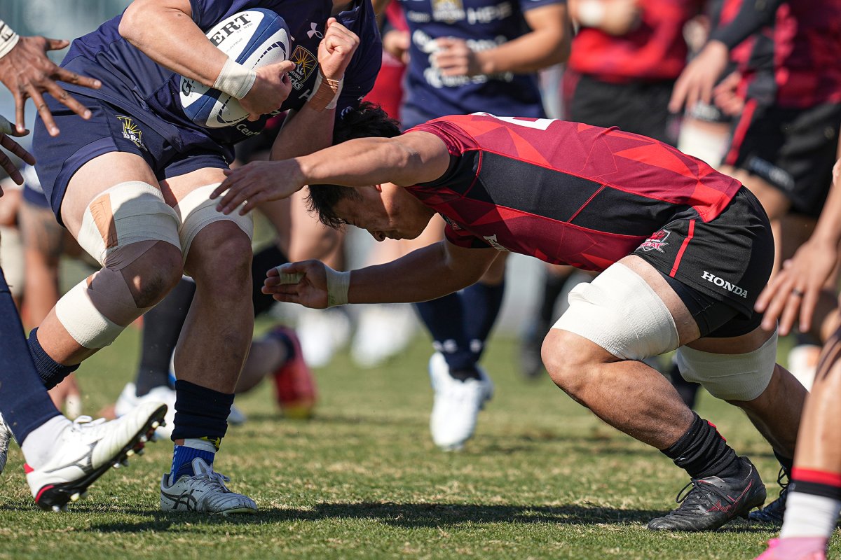 フォトギャラリー(24)