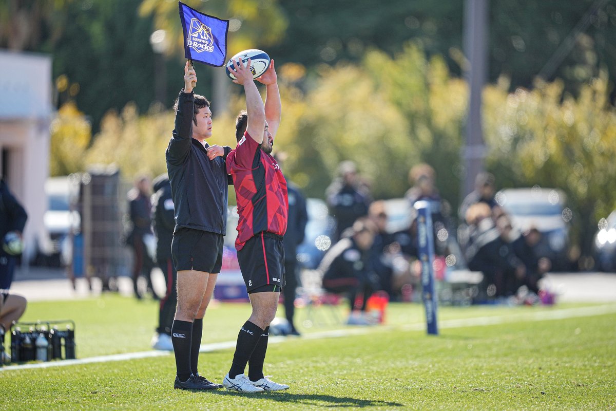 フォトギャラリー(24)