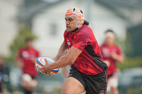 フォトギャラリー(19)