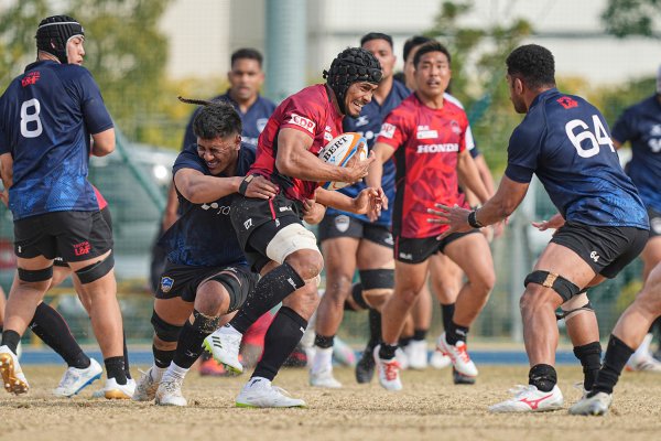 フォトギャラリー(11)