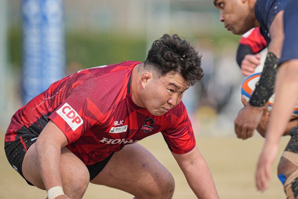 フォトギャラリー(1)